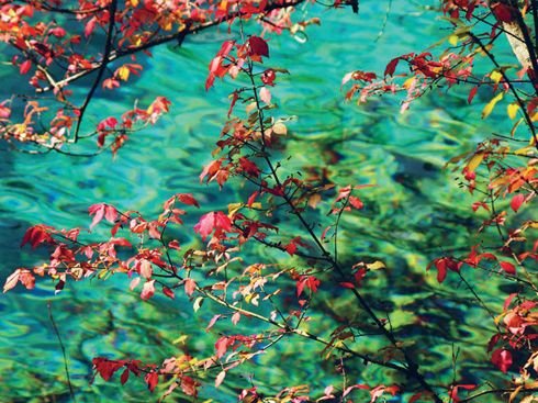 Jiuzhaigou: Paradise of colors