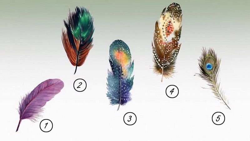 Quiz: Choose a feather to discover your inner strength