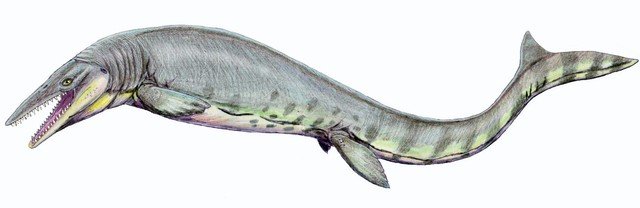 Tylosaurus: Super prehistoric ocean killer, sharks are just a menu